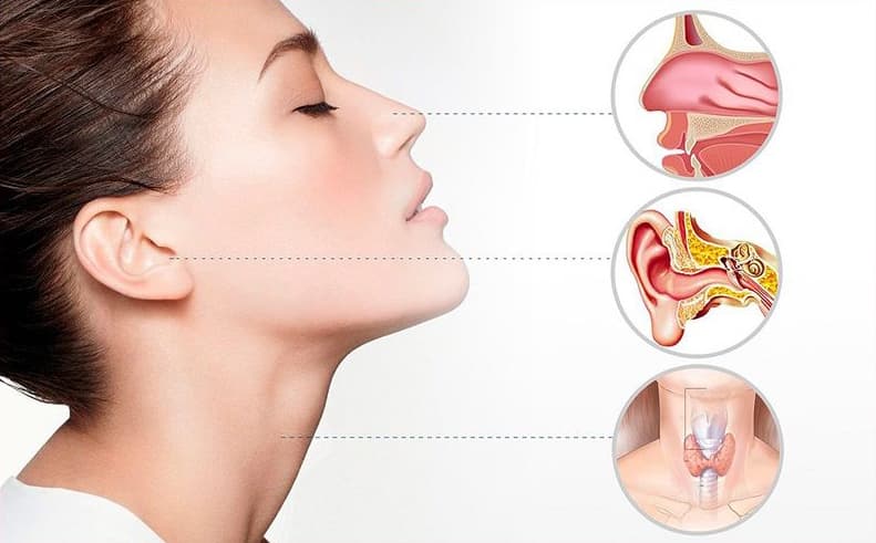 ENT (Ear, Nose & Throat)