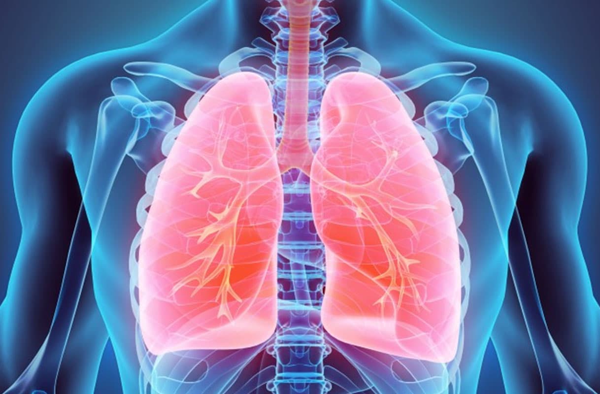Pulmonology